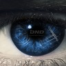 Dynamit Nobel Defence GmbH