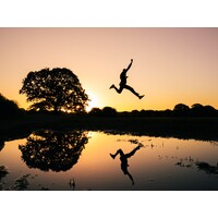 Leap Ahead